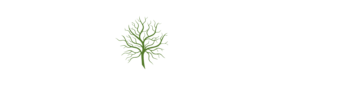 Logo Neurolutions - Nathalie de Montmollin - Biofeedback Neurofeedback